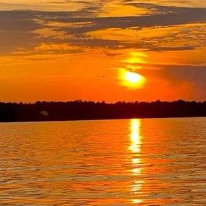 Meet your Posher, Waverly